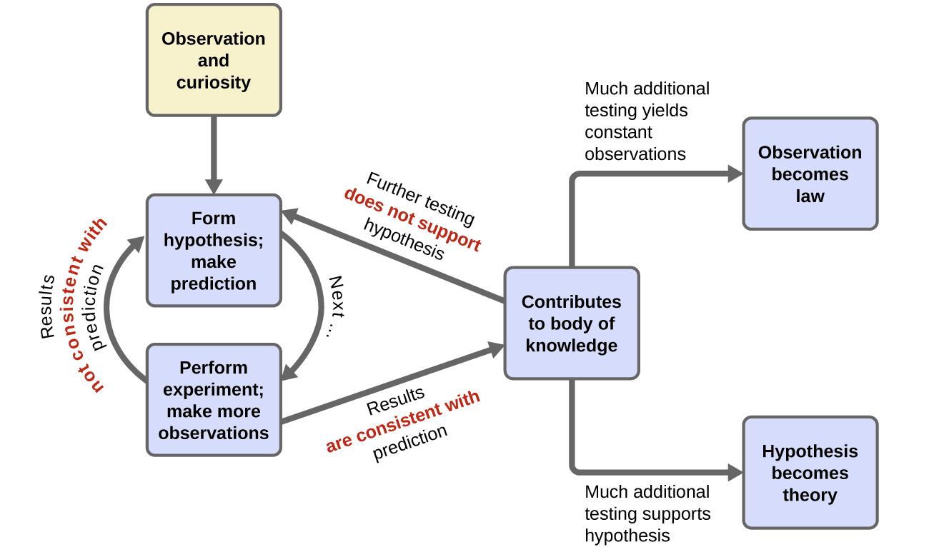 Scientific-process diagram connects observation, hypothesis, testing, and explanation.