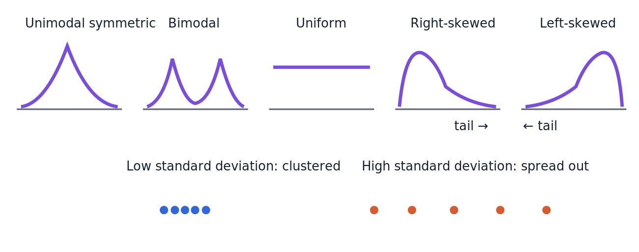 Common distribution shapes and qualitative low-versus-high standard deviation comparison.