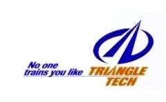 Triangle Tech Inc-Sunbury Logo